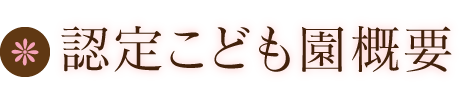 認定こども園概要